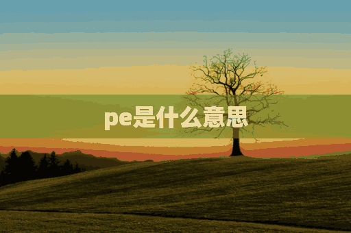 pe是什么意思